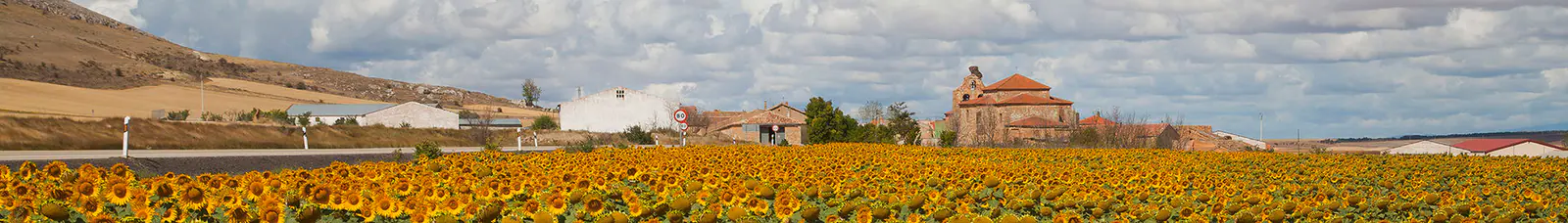 Representative landscape of Spain